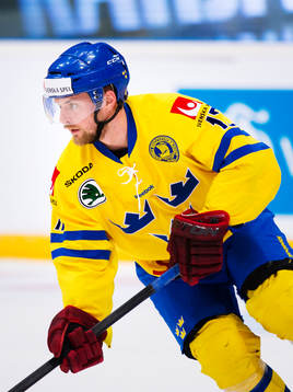 Fredrik Pettersson, Sverige