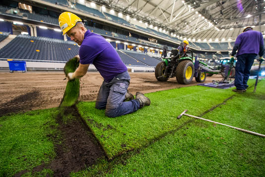 Gräset rullas ut på Sverige nya Nationalarena