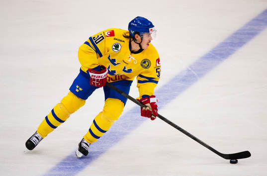 Sebastian Erixon, Sverige