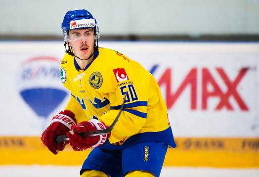 Sebastian Erixon, Sverige