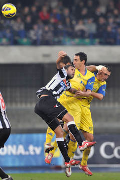 DAINELLI-DANILO
