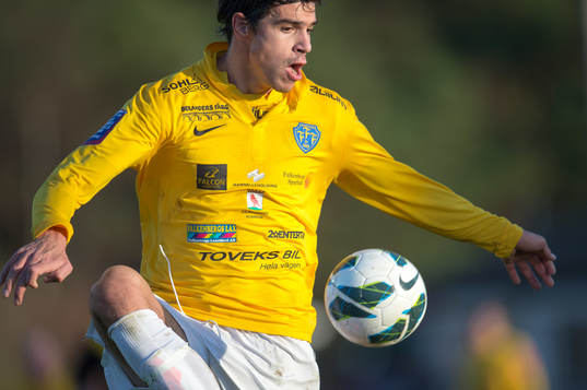 Zlatan Krizanovic, Falkenberg