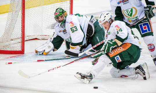 Alexander Salak, målvakt, Färjestad, letar