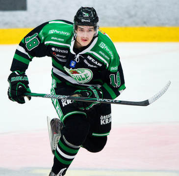 Dennis Everberg, Rögle