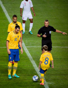 Zlatan Ibrahimovic, Sverige med