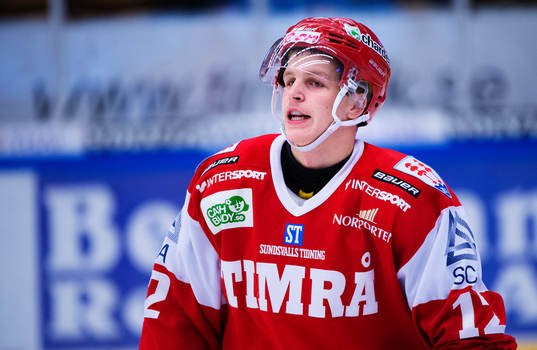 Max Friberg, Timrå