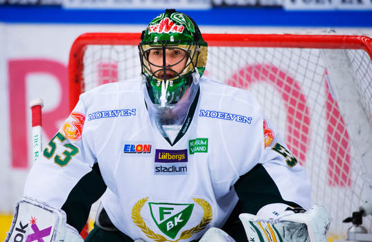 Alexander Salak, målvakt, Färjestad