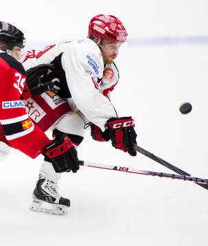 Roger Olsson, Malmö Redhawks, Mattias Guter, Almtuna