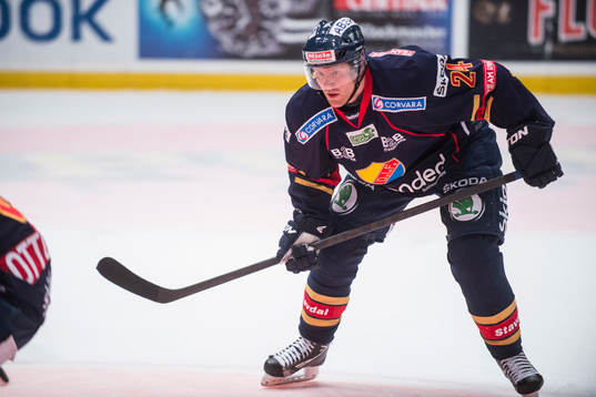 Patric Hörnqvist, Djurgården