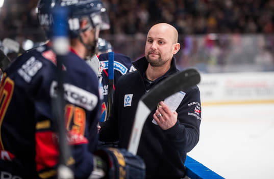Tony Zabel, tränare Djurgården