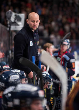 Tony Zabel, tränare Djurgården