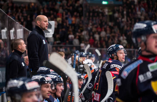 Tony Zabel, tränare Djurgården