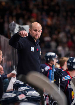 Tony Zabel, tränare Djurgården