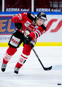 Johan Björk, Malmö Redhawks