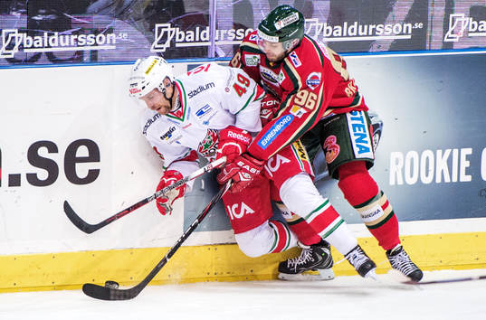 Richie Regehr, Modo, tacklas in i sargen av Fabian