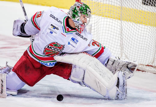 Bernhard Starkbaum, målvakt, Modo