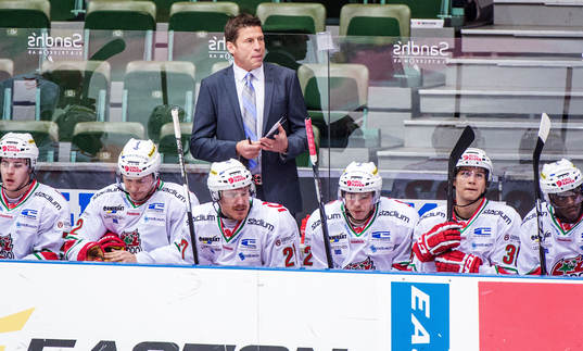 Ulf Samuelsson, tränare Modo