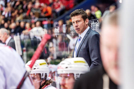 Ulf Samuelsson, tränare Modo