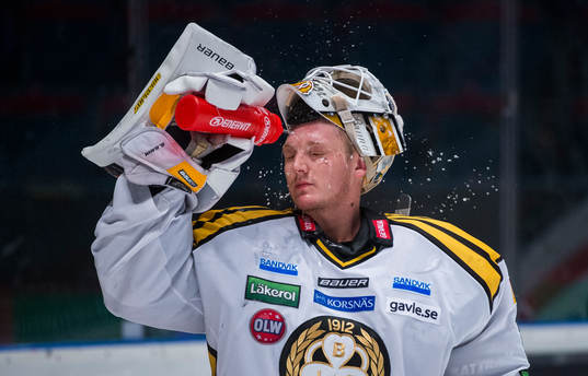 Robin Rahm, målvakt Brynäs
