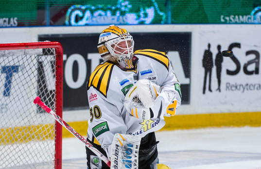 Robin Rahm, målvakt Brynäs