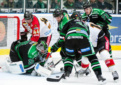 Martin Gerber, målvakt, Rögle