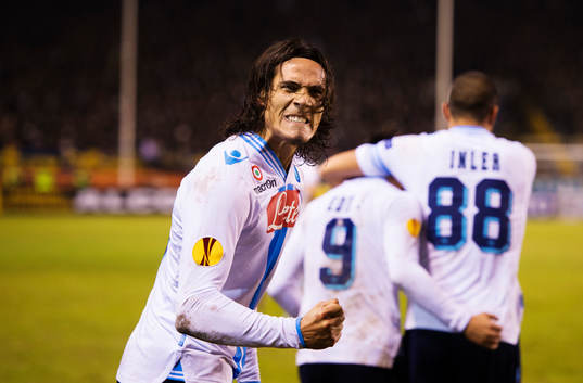 Edinson Cavani, Napoli, jublar