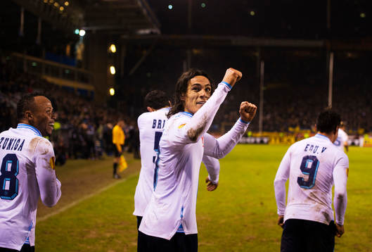 Edinson Cavani, Napoli, jublar