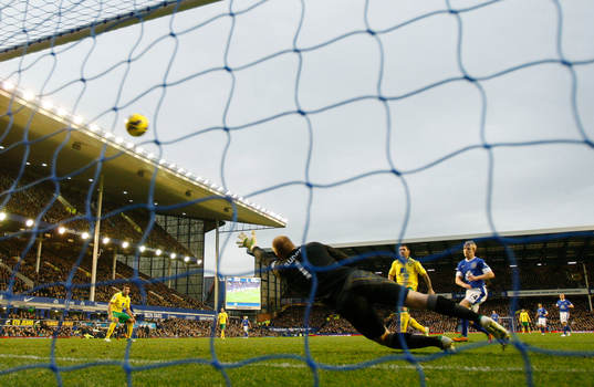 Football - Everton v Norwich City - Barclays Premier League