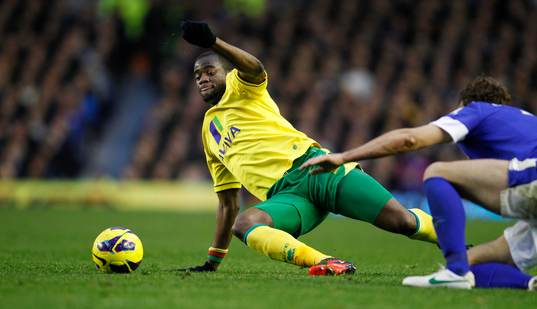 Football - Everton v Norwich City - Barclays Premier League