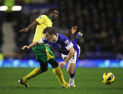 Football - Everton v Norwich City - Barclays Premier League