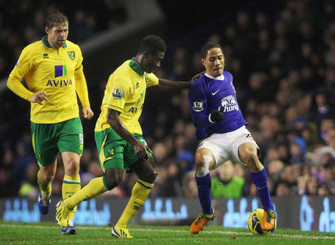 Football - Everton v Norwich City - Barclays Premier League