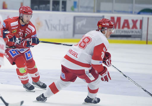 Vita Hästens nr 83 Michael Nylander