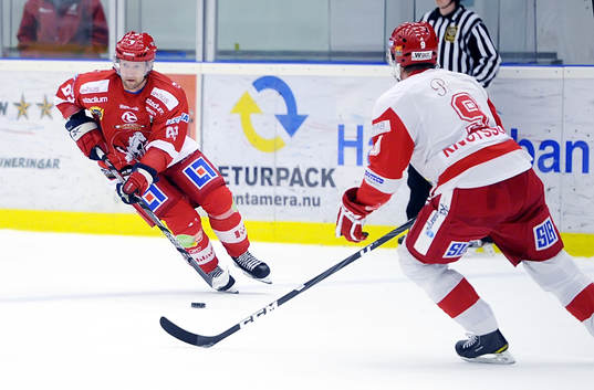 Vita Hästens nr 83 Michael Nylander