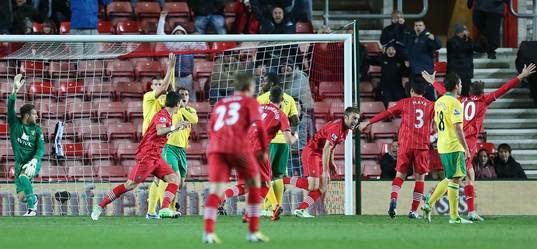 Football - Southampton v Norwich City - Barclays Premier