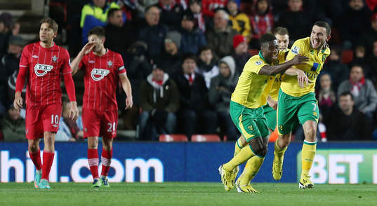 Football - Southampton v Norwich City - Barclays Premier