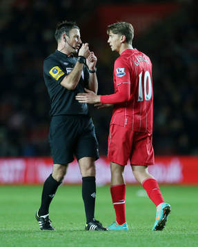 Football - Southampton v Norwich City - Barclays Premier