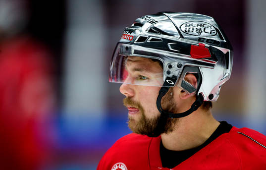 Patrik Kannerling, Troja Ljungby