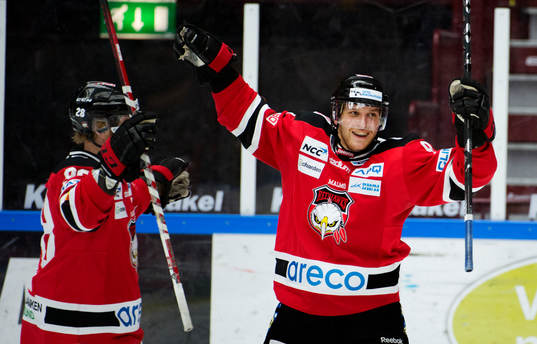 Fredrik Storm, Malmö Redhawks, jublar