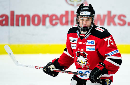 Rasmus Andersson, Malmö Redhawks