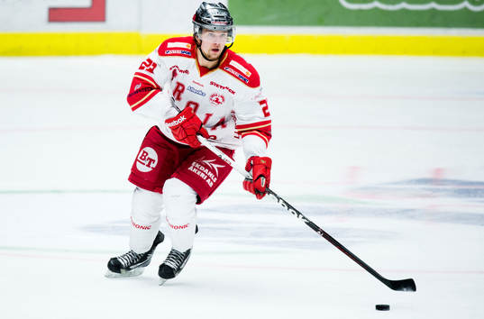 Viktor Amnér, Troja Ljungby