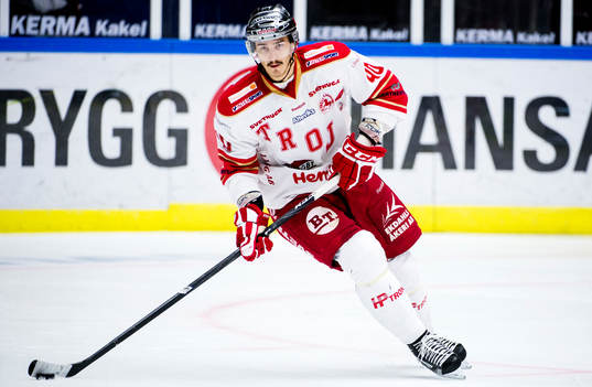 Ziga Pavlin, Troja Ljungby