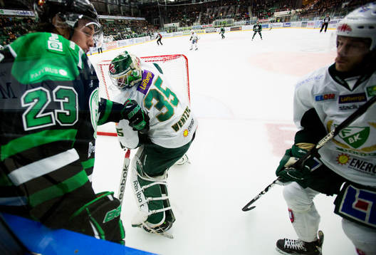 Daniel Sylvander, Rögle, Fredrik Pettersson-Wentzel,