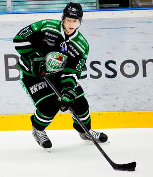 Ted Brithén, Rögle