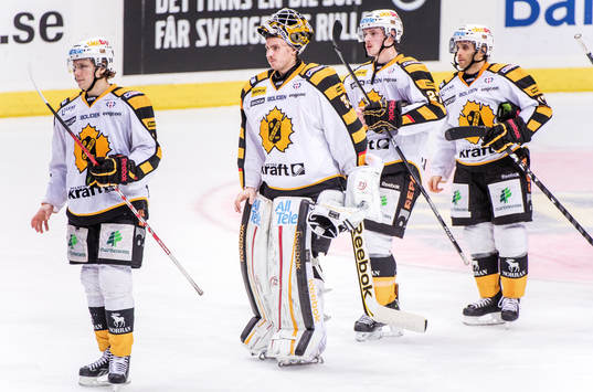 Joacim Eriksson, målvakt, Skellefteå, deppar