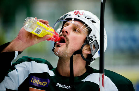 Christian Berglund, Färjestad