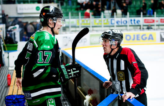 Victor Panelin Borg, Rögle diskuterar med domare Marcus