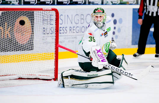 Fredrik Pettersson-Wentzel, målvakt, Färjestad lyckas