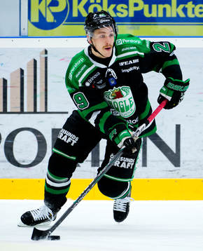 Alexander Barta, Rögle