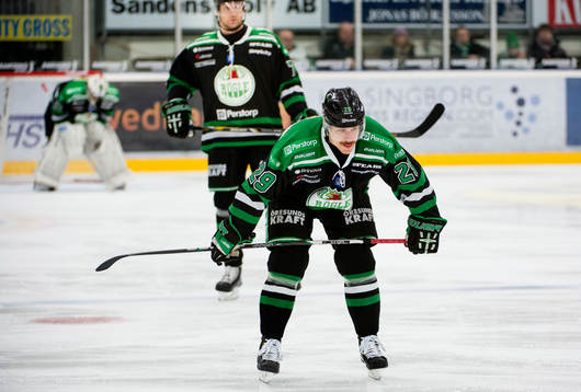 Alexander Barta, Rögle deppar