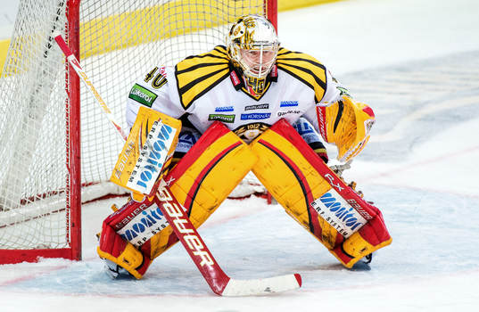 Johan Holmqvist, målvakt, Brynäs